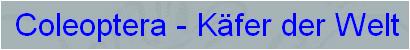 Coleoptera - Käfer der Welt