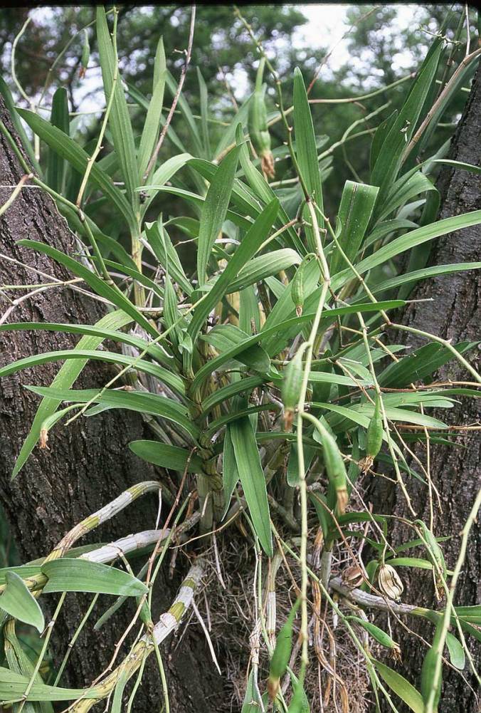 424046-r1-e020_020_2