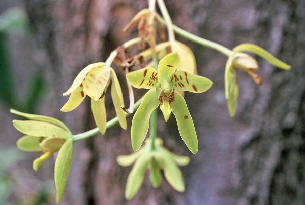 424046-r1-e021_021_2