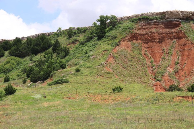 Cylindera celeripes macrohabitat along Hwy 412 in the Gloss Mountains
