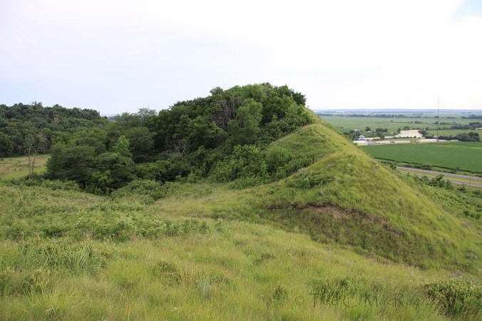 IMG_0820_1200x800 Star School Hill Prairie Natural Area (north tract), Atchison Co., Missouri.