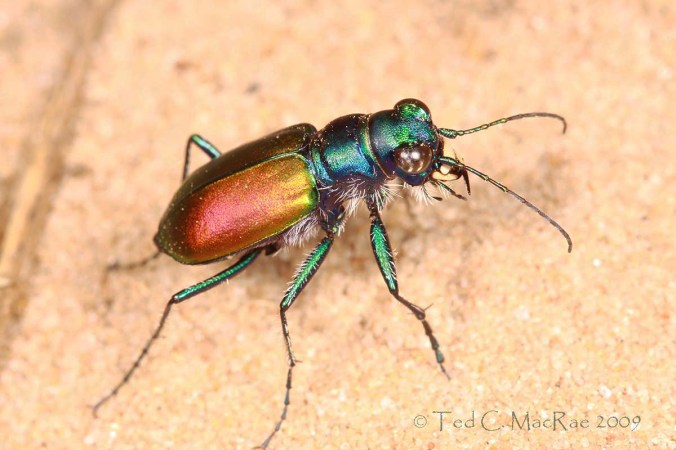 IMG_0540_1200x800_enh