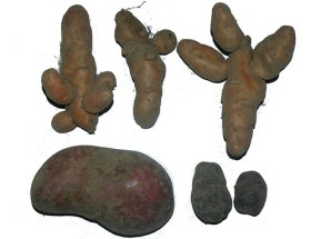 3973291903_8fce836aac