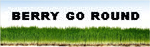Berry Go Round copy