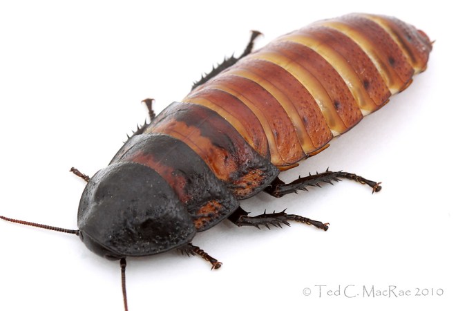 IMG_2451_crp_enh_1200x800