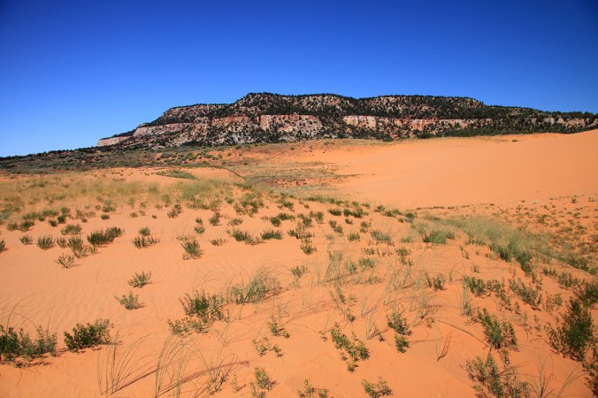 Coral Pink Sand Dunes State Park