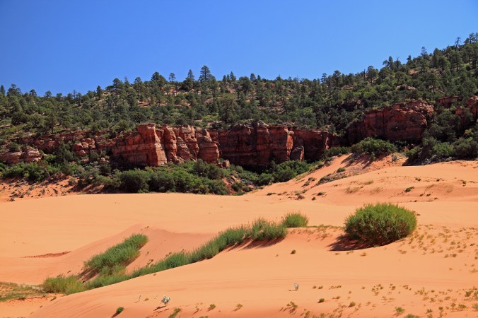 Coral Pink Sand Dunes State Park