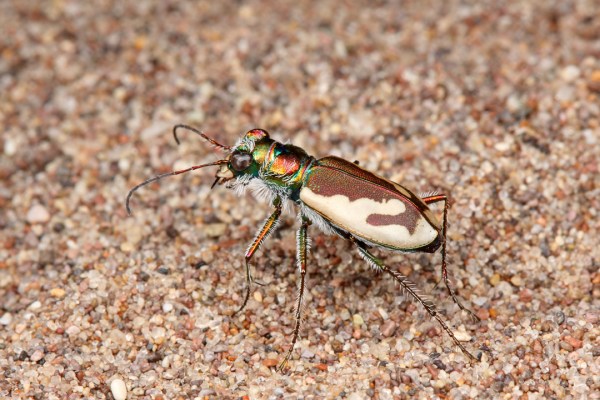 IMG_7881_enh_1080x720