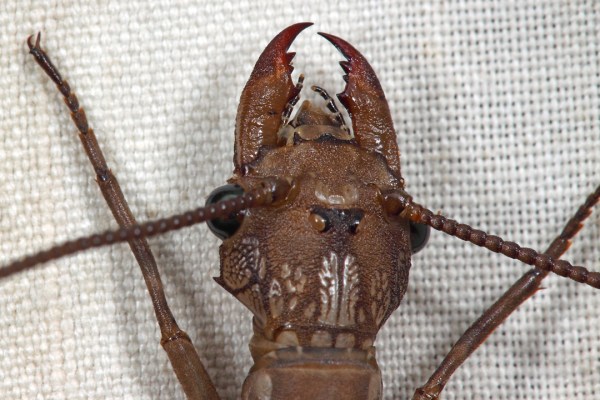 IMG_6665_enh_1080x720