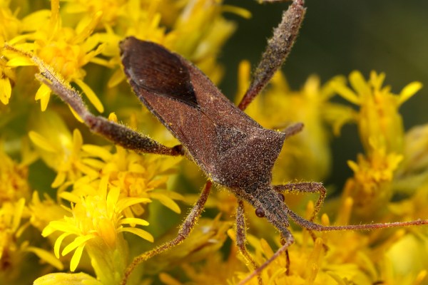 IMG_9252_enh_1080x720