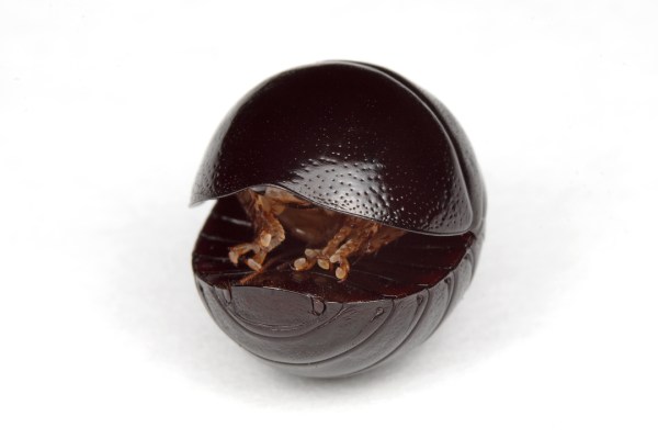 IMG_9972_enh_1080x720