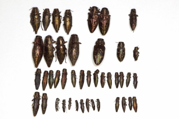 IMG_0193_enh_1080x720