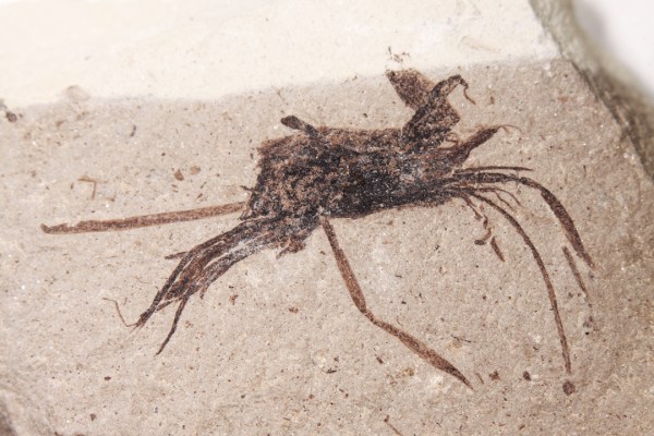 IMG_1840_enh_1080x720