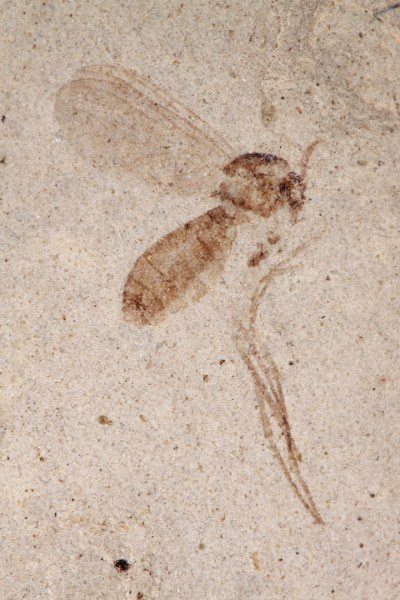 IMG_1864_enh_720x1080