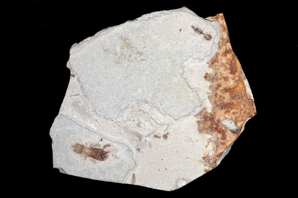 IMG_1919_enh_1080x720