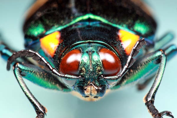 IMG_2082_enh_1080x720