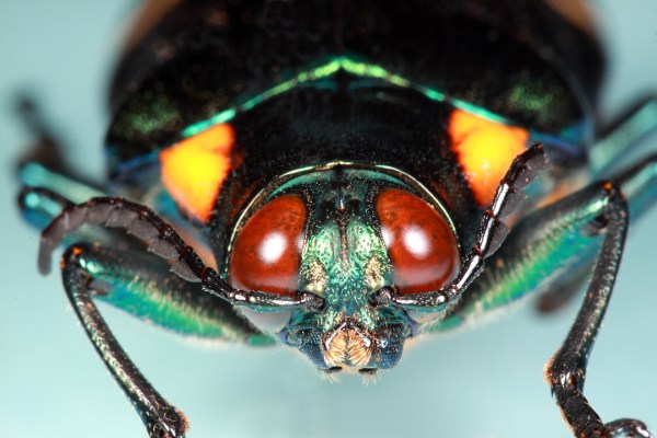 IMG_2087_enh_1080x720