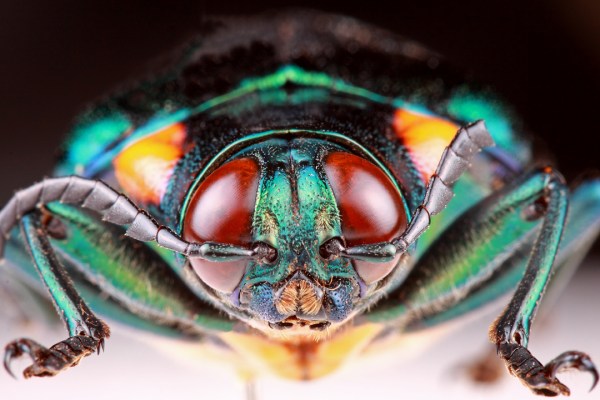 IMG_2113_enh_1080x720