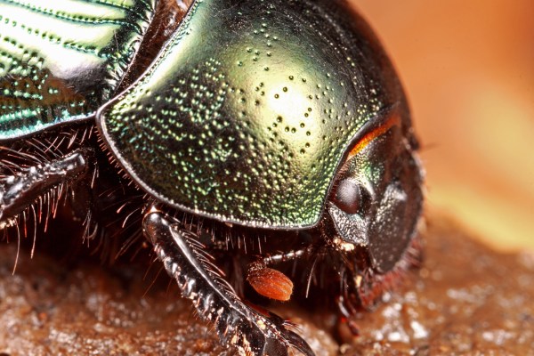 IMG_3996_enh_1080x720