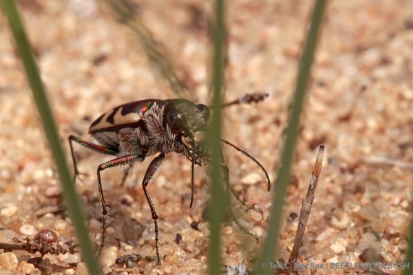"You don't see me, but I see  you!"