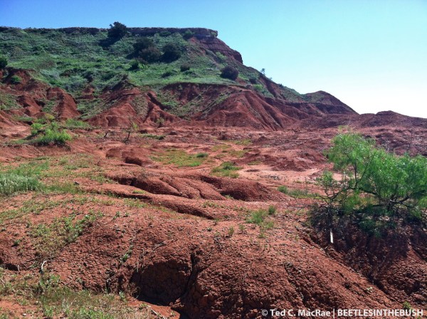 Gloss Mountains State Park, Major Co., Oklahoma