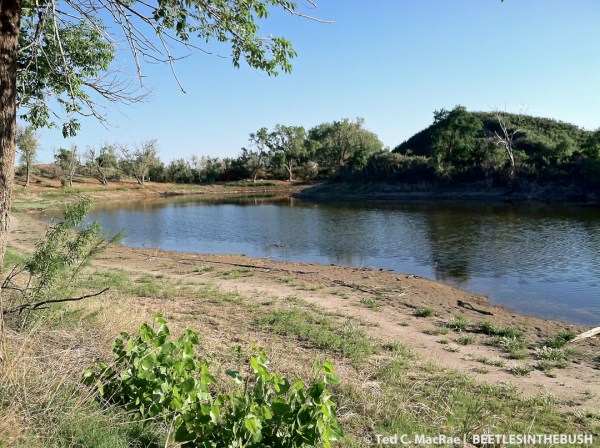 Low water levels in the reservoir at Beaver Dunes are a result of three years of drought.