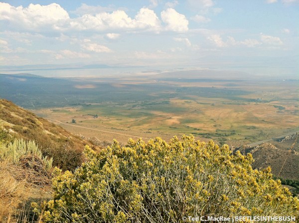 Mono Lake Vista Point