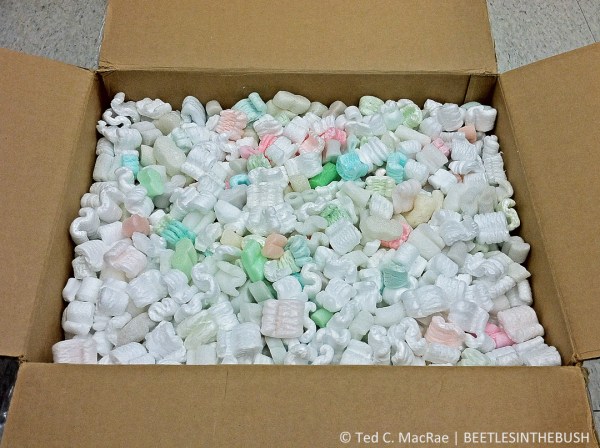 Shipping box ''almost'' filled with packing material.