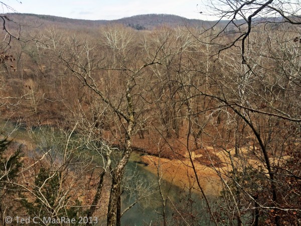 Blufftop view of Courtois Creek - from a vantage point several hundred feet above the creek we could look down on our crossing point. I have a fear of heights but nevertheless hung onto the treefall in front of me to inch out for a clear view.