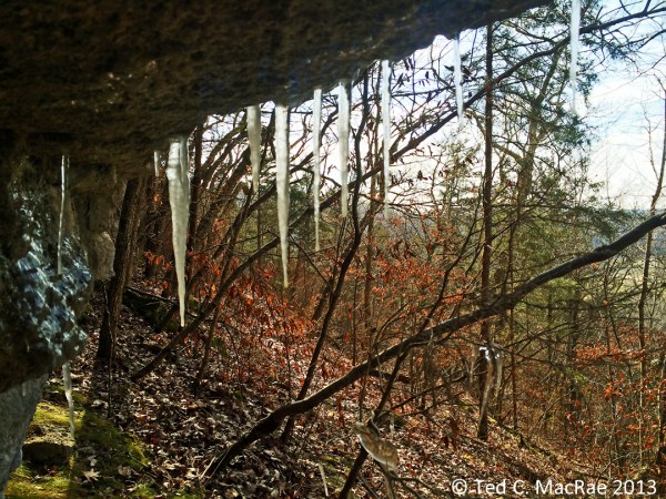 Icicles form on an undercut below the bluff top.