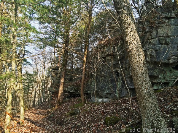 A cap of resistant dolomite lines the top of the Huzzah Creek Valley.