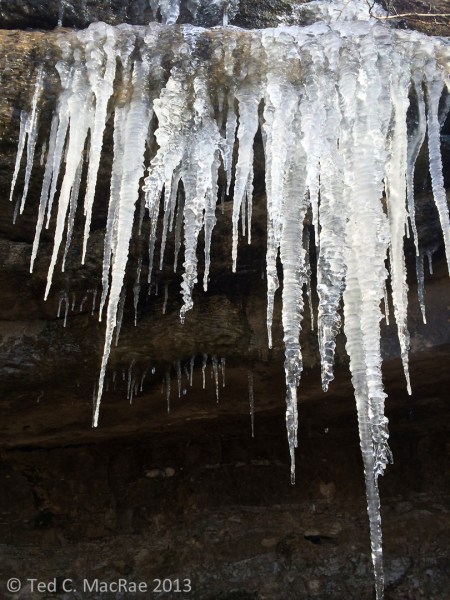 Icicles glisten in the frigid sunlight.