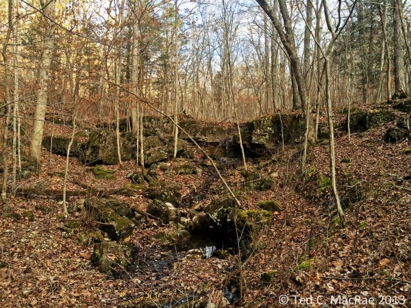 Moss covering the rock exposures in a delightful valley leading up from the Huzzah Creek Valley indicate an abundance of moisture.