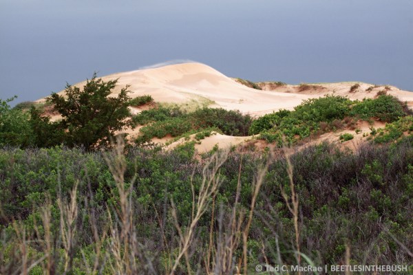 Beaver Dunes, Oklahoma