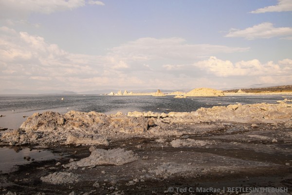 Mono Lake