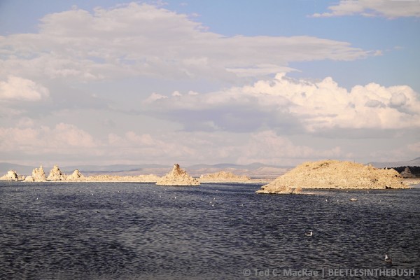 Mono Lake