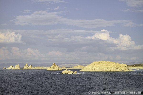 Mono Lake