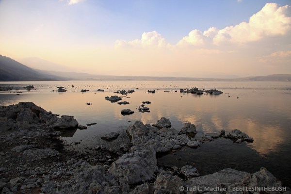 Mono Lake