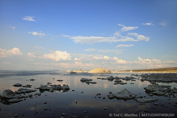 Mono Lake