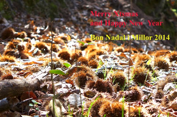 Eduard Vives, Museo Nacional de Ciencias Naturales, Barcelona,  Spain