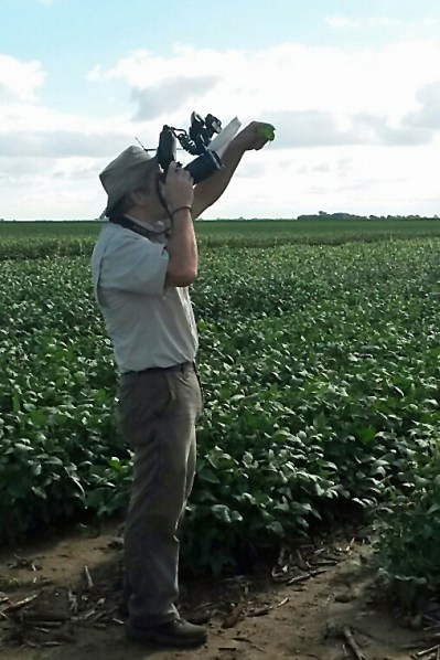 Ted MacRae photographing tortoise beetles.