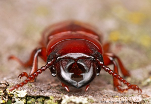 IMG_6786_enh_1080x742