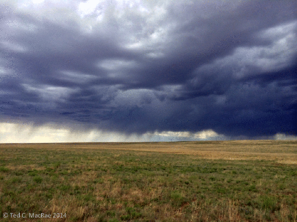 Thunderstorms over shortgrass prairie.
