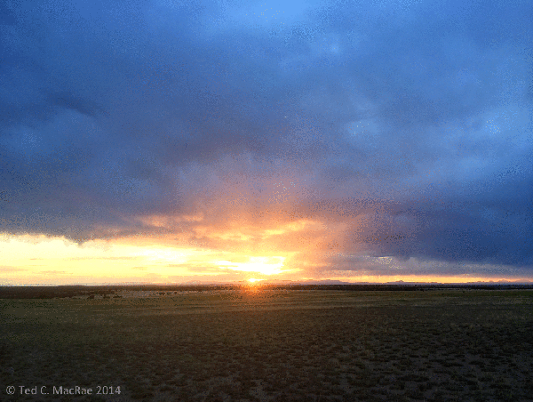 Sunset over shortgrass prairie.