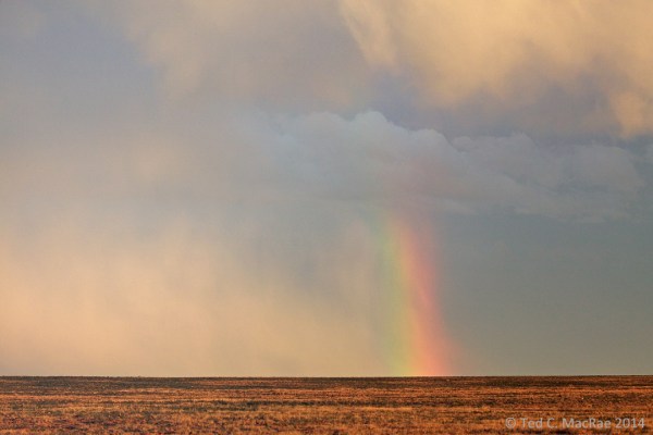 Rainbow over shortgrass prairie