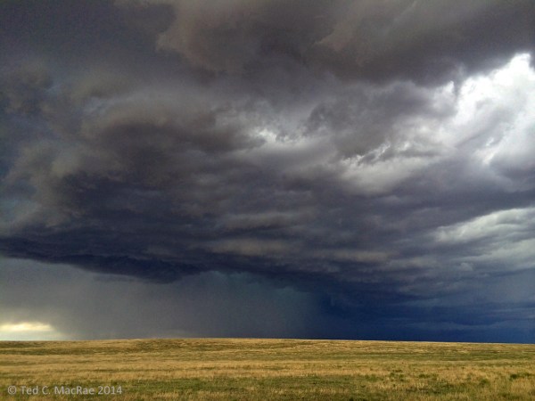 Thunderstorms over shortgrass prairie.