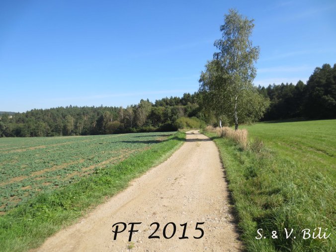 Svata Bílý—Prague, Czech Republic