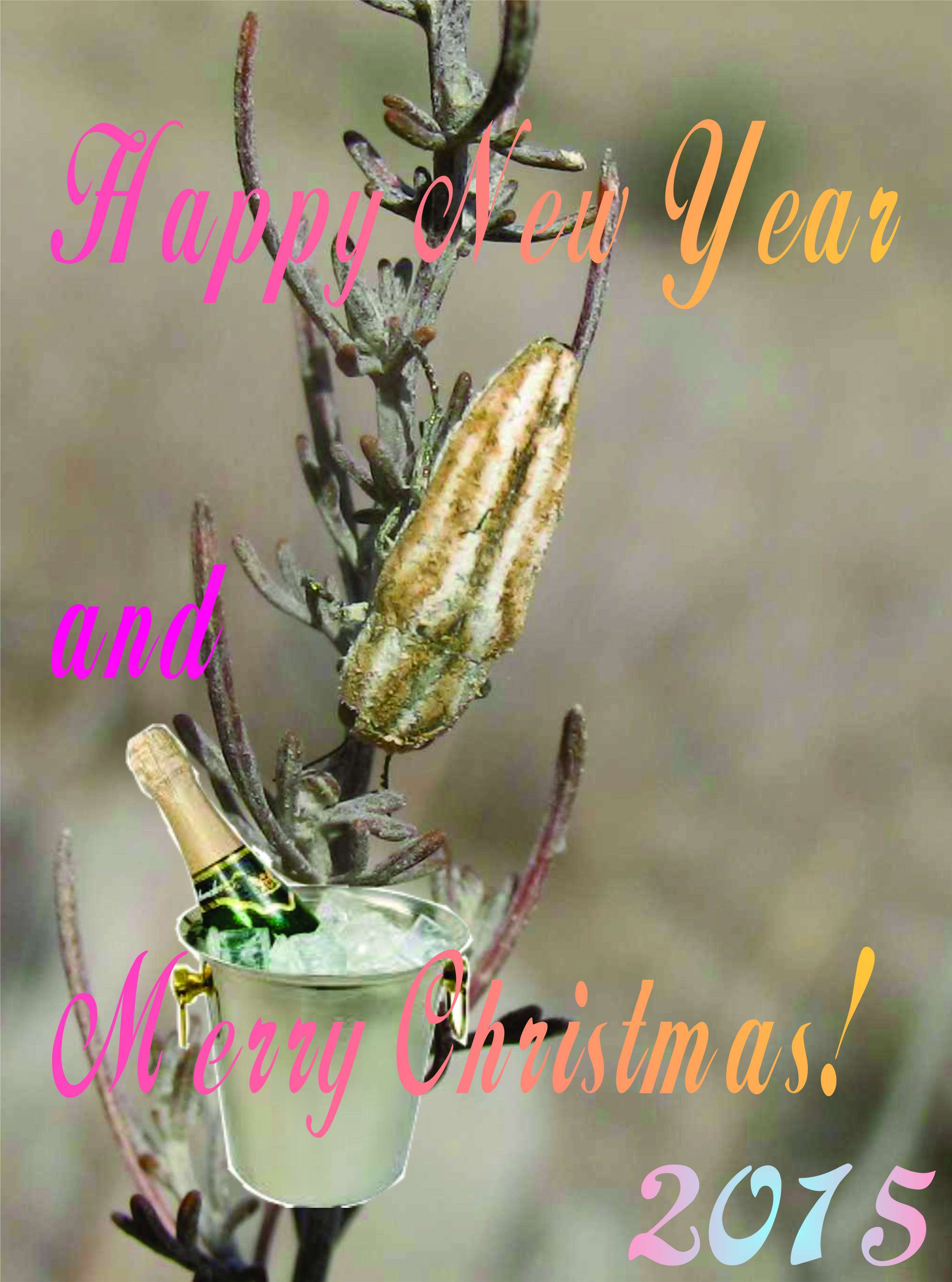 Mark Kalashian, Institute of Zoology, Yerevan, Armenia