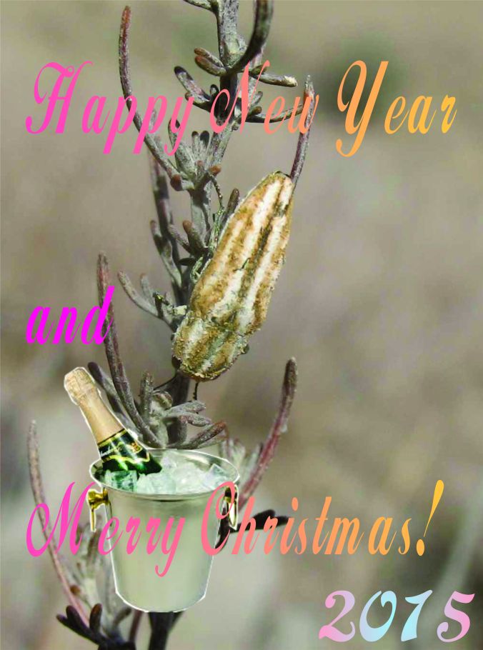 Mark Kalashian, Institute of Zoology, Yerevan, Armenia