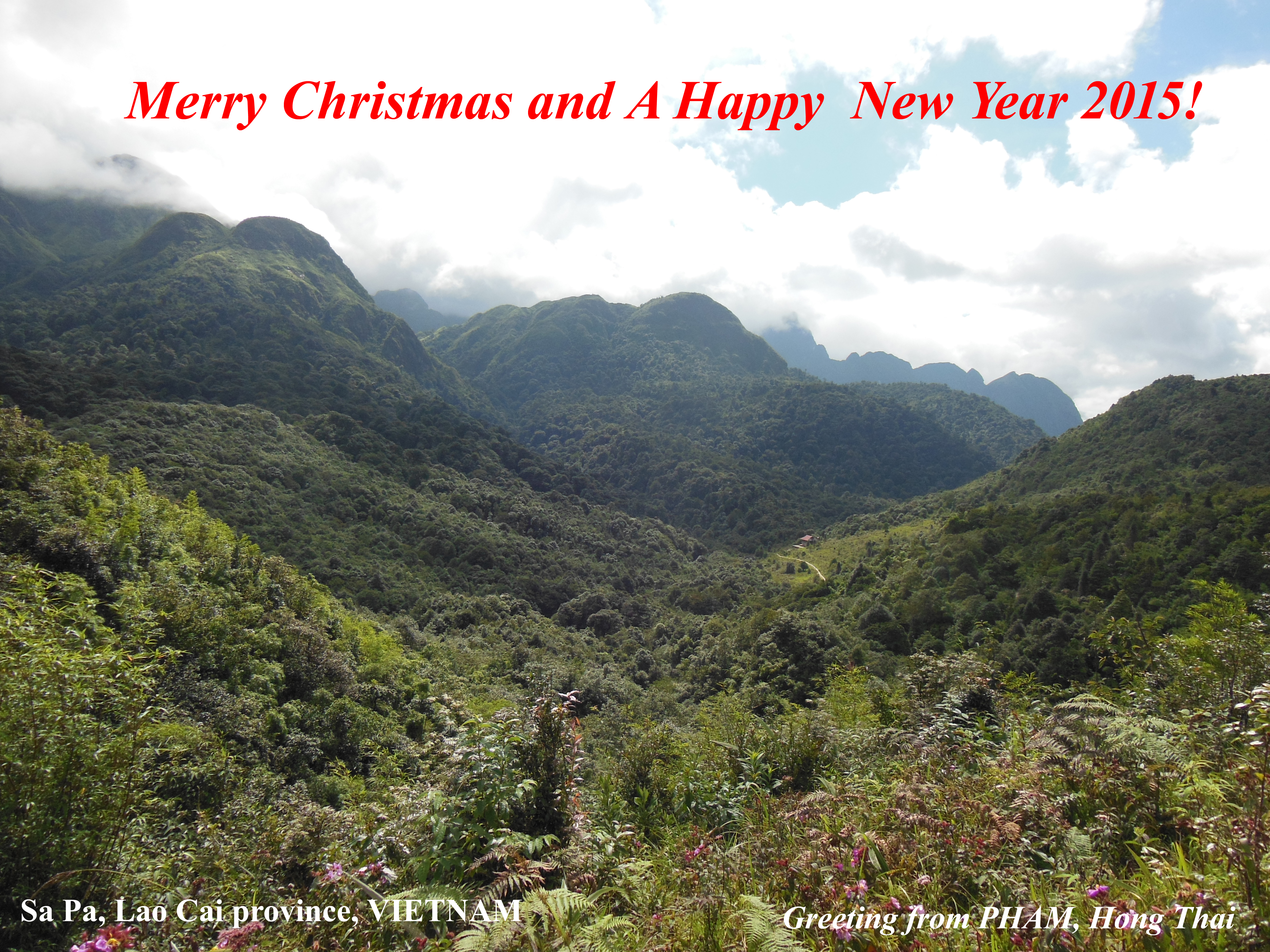 Pham, Hong Thai, Vietnam Academy of Science and Technology, Hanoi